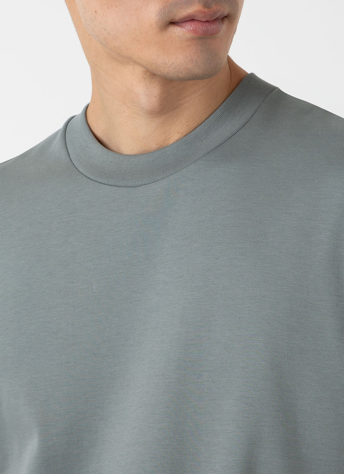 Men's Relaxed Fit Heavyweight T-shirt in Smoke Green